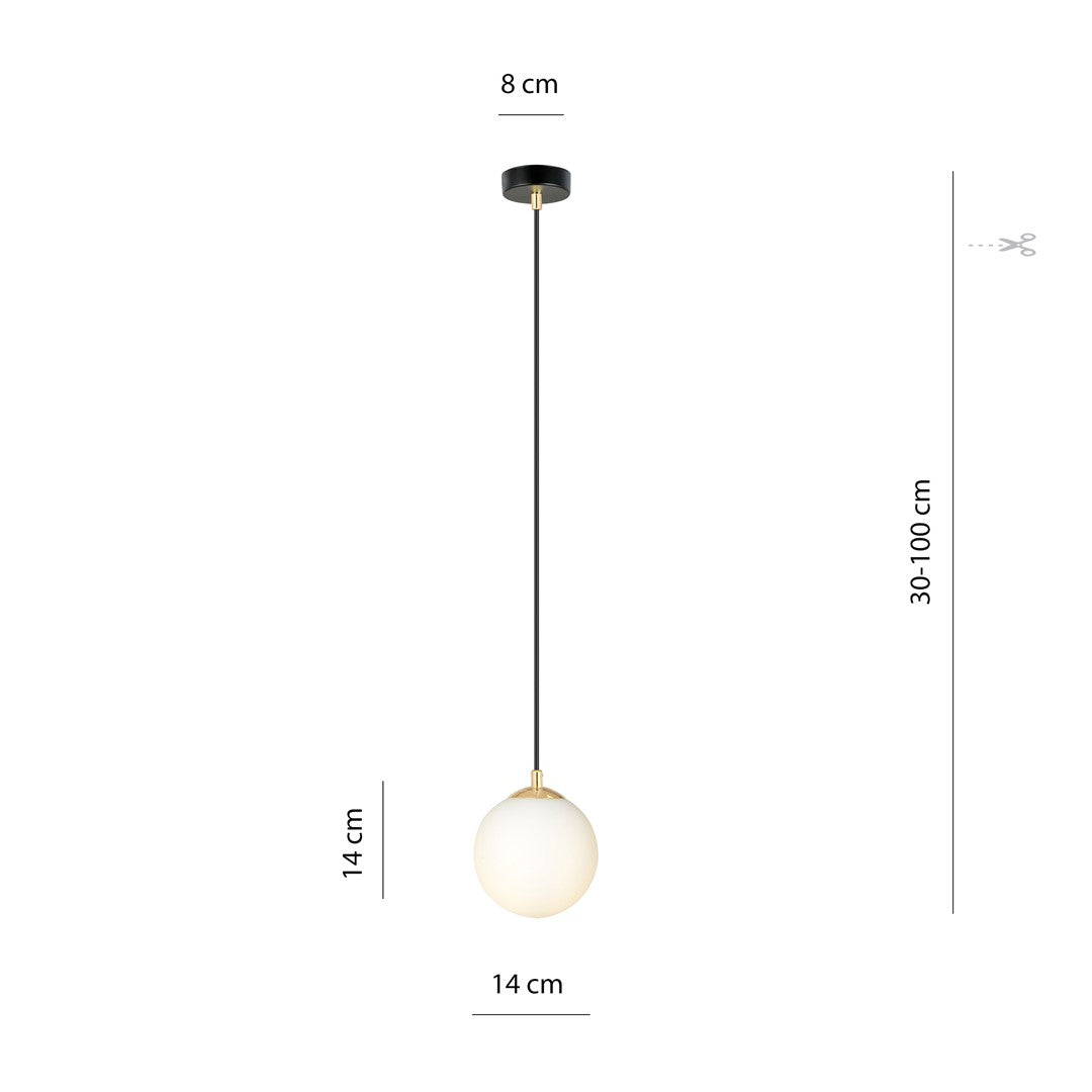 Royal 1 Light Pendant Black & Gold