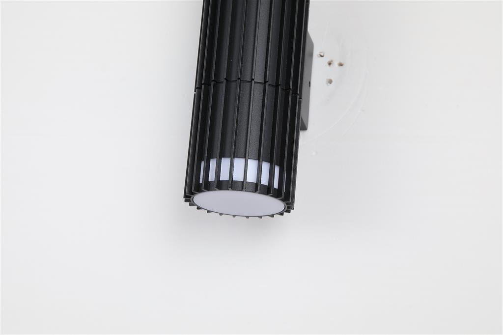Detroit 2-Light Black Outdoor Wall Light