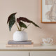 Lovran White Ceramic Vase Large
