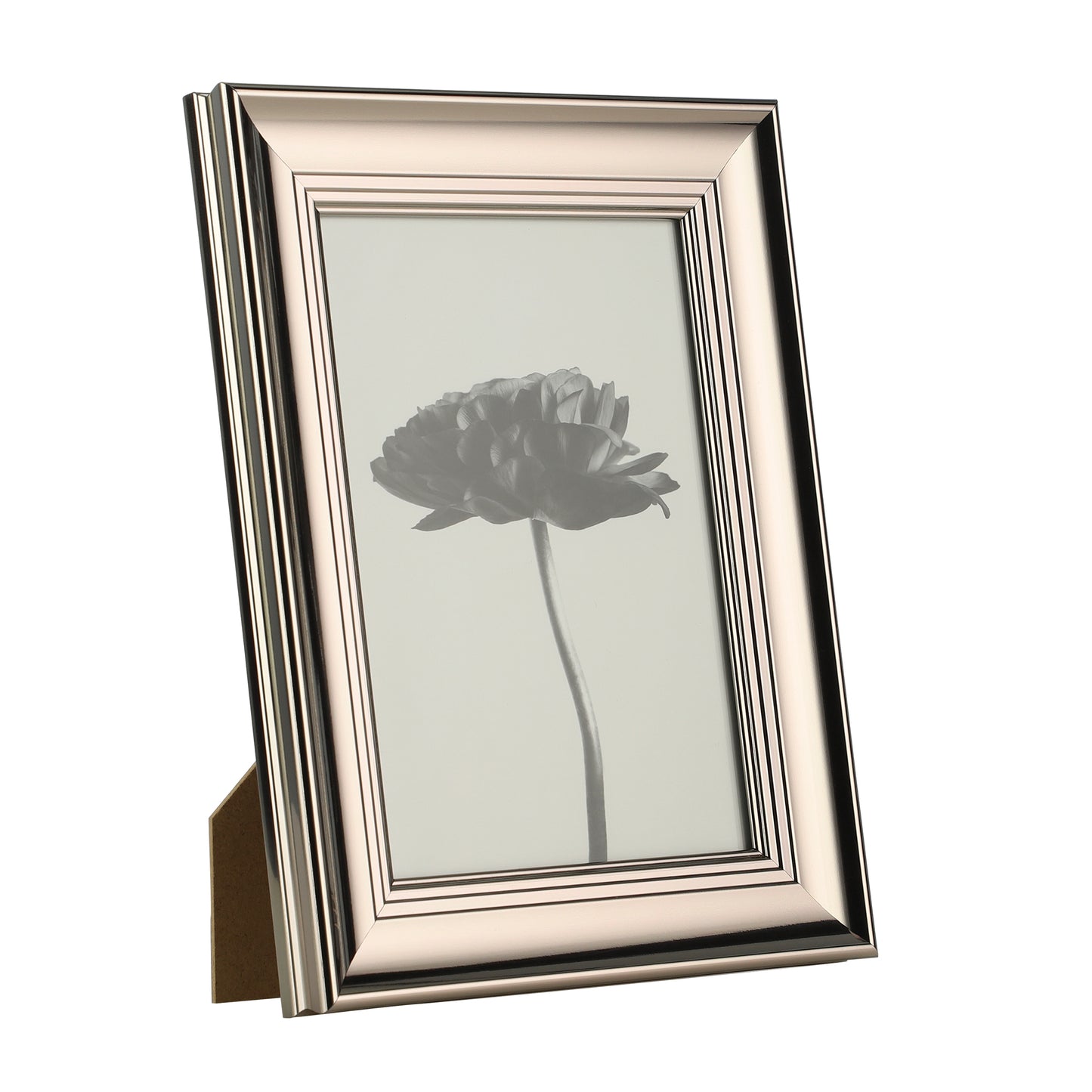 Renabie Chrome Frame