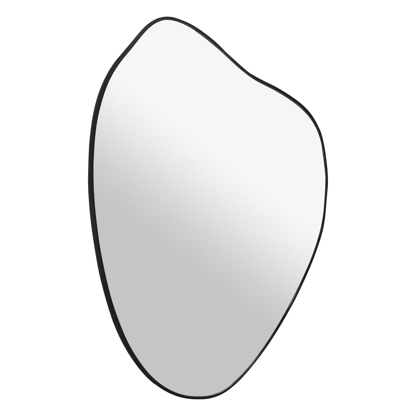 Bani Large Black Blob Mirror