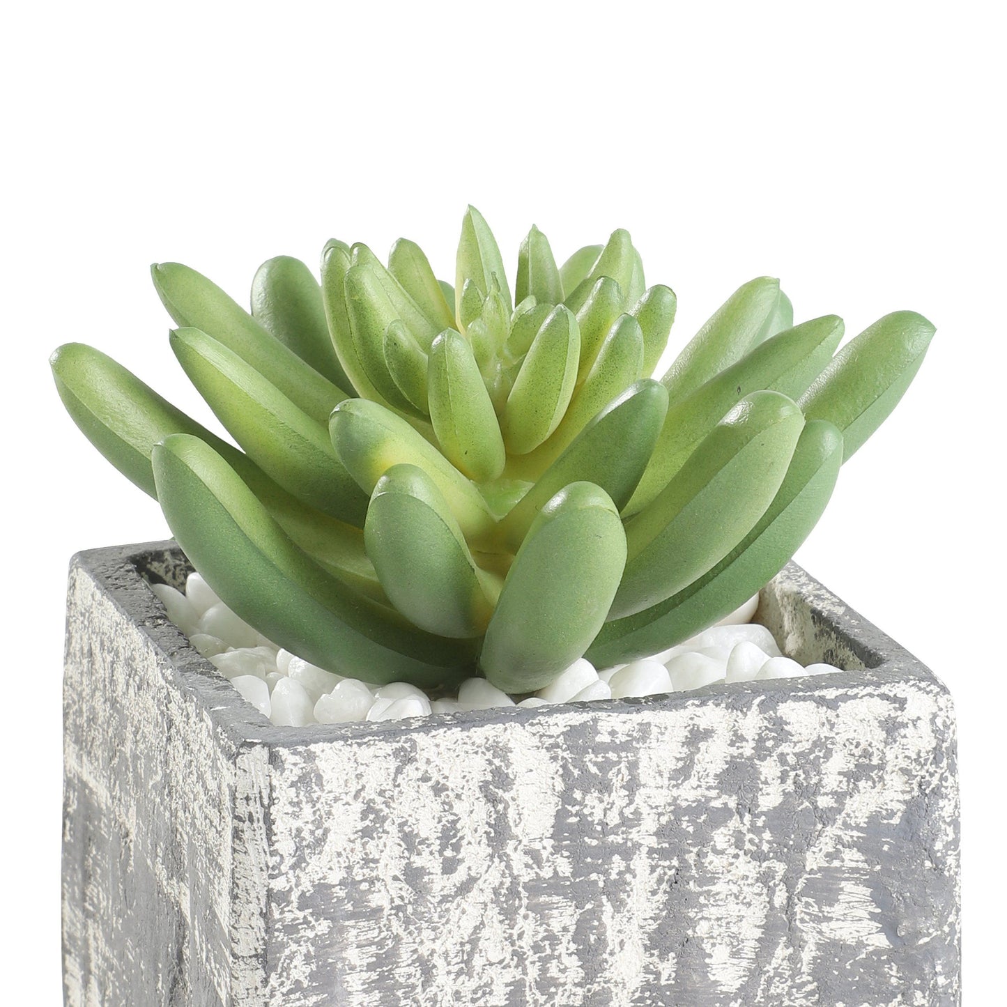 Artificial Succulent