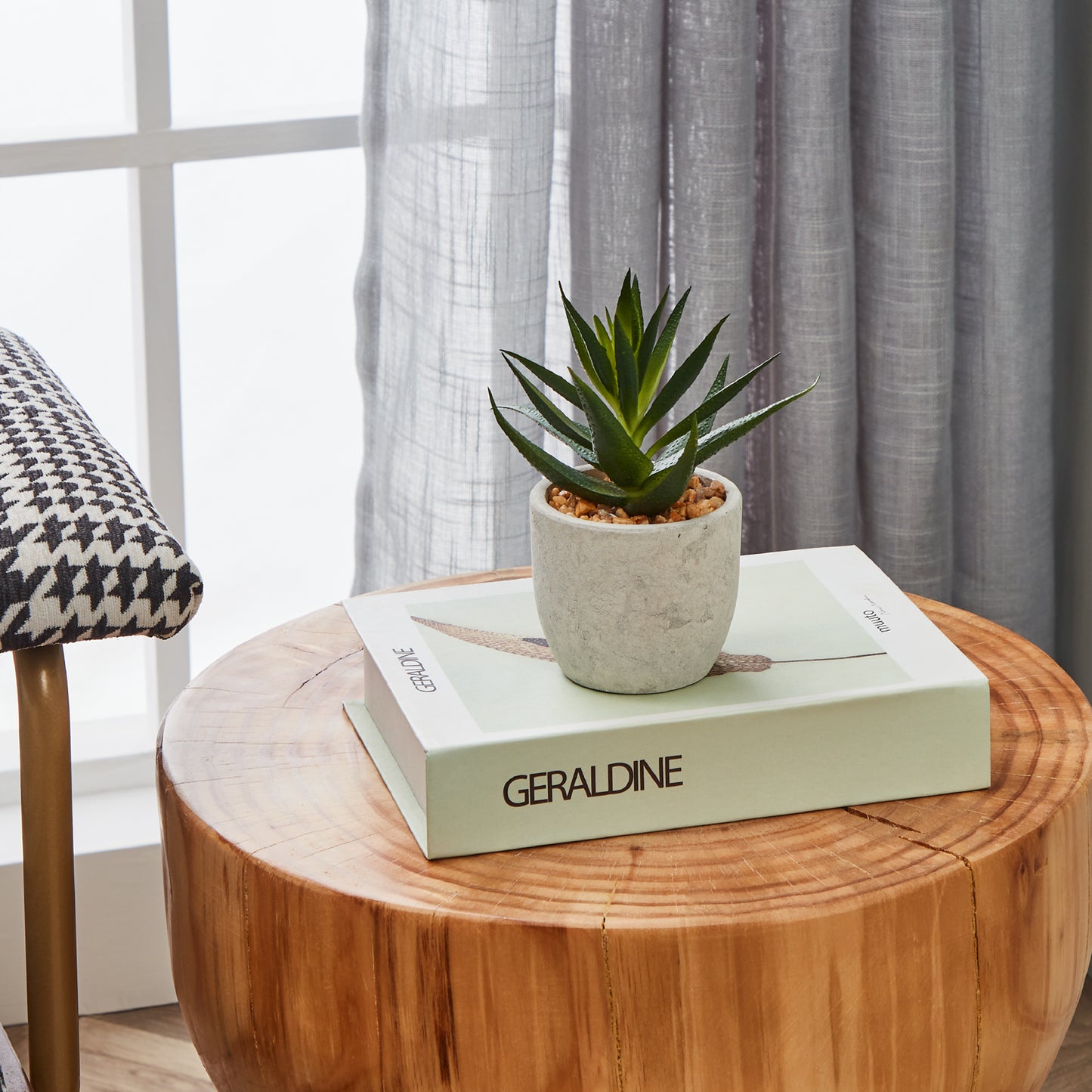 Artificial Aloe Vera in White Pot