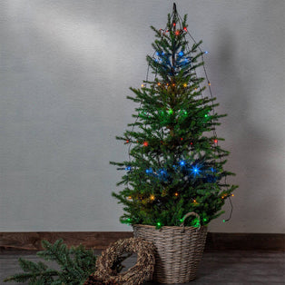 Multicoloured Outdoor Fairy Lights (64 Lights)