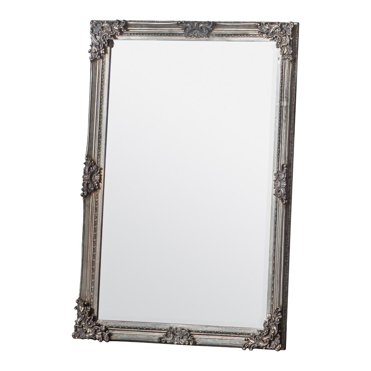 Fiennes 70x103cm Champagne Mirror