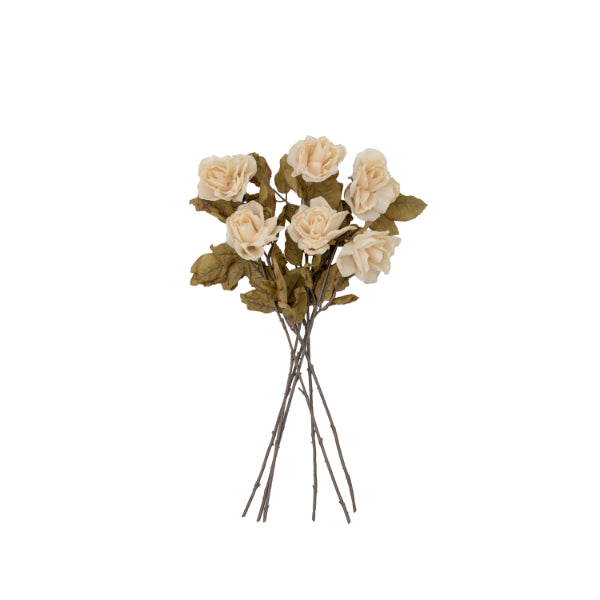 Dried Rose Stem 6Pk Ivory