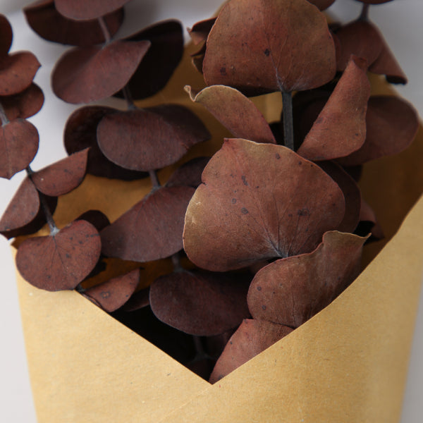 Dried Eucalyptus Bundle Purple