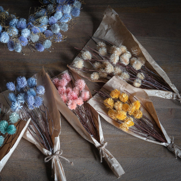 DRIED THISTLE BUNDLE OCHRE LARGE