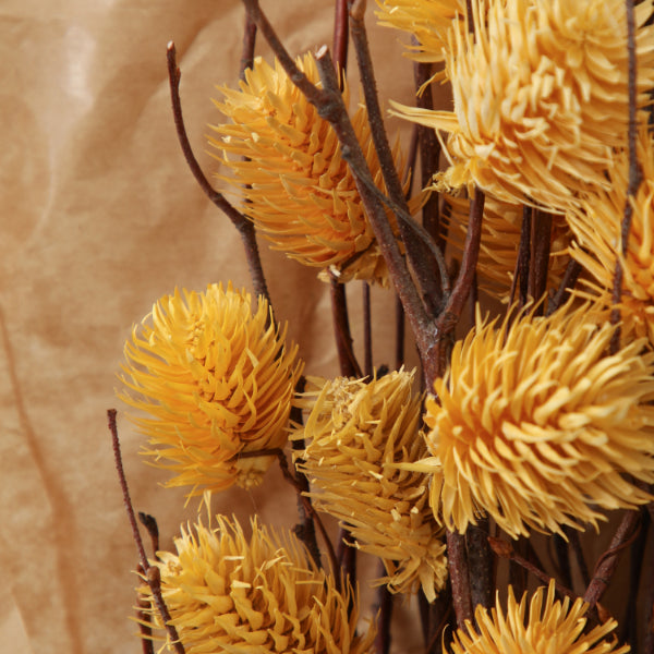 DRIED THISTLE BUNDLE OCHRE LARGE