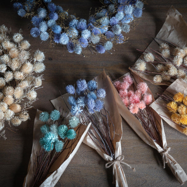 Dried Thistle Bundle Blue Large