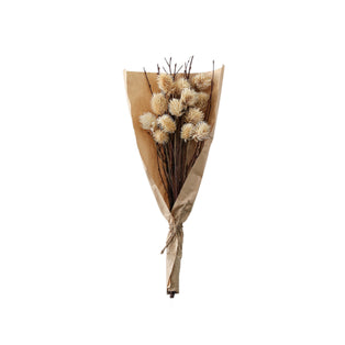 DRIED THISTLE BUNDLE NATURAL SMALL