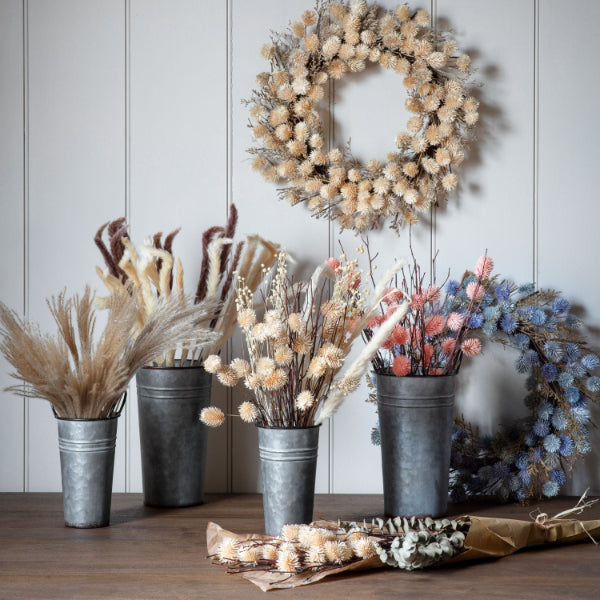 Dried Thistle Bundle Blush Large