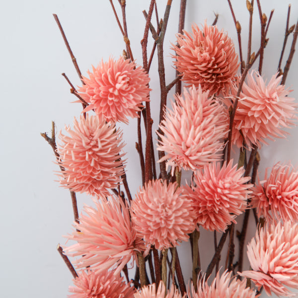 Dried Thistle Bundle Blush Large