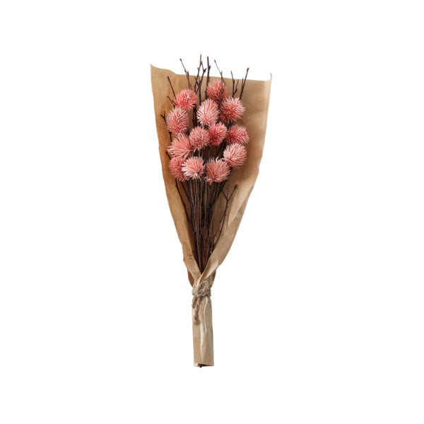 Dried Thistle Bundle Blush Large