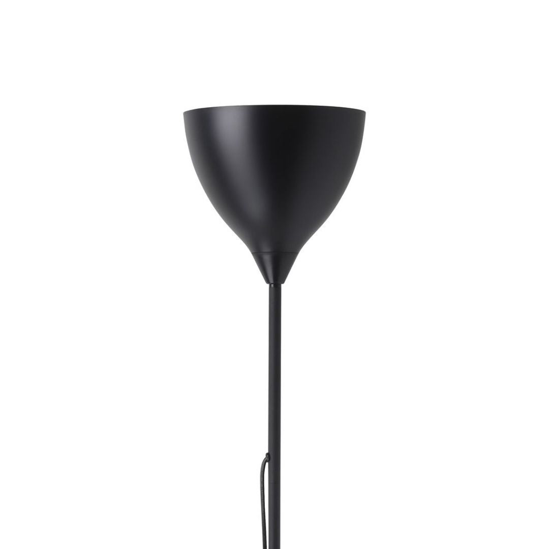 Vilastrosi Black Floor Lamp
