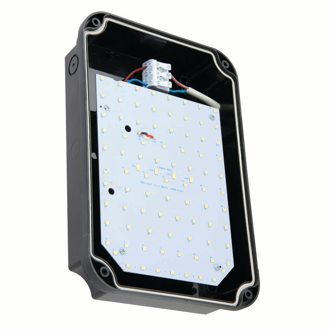 Lucca Mini LED Cool White External Wall Light