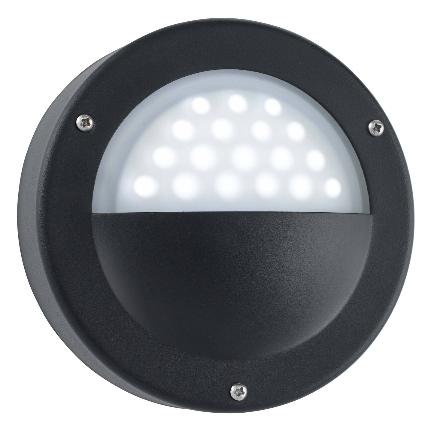 Matte Black LED Outdoor Wall Light
