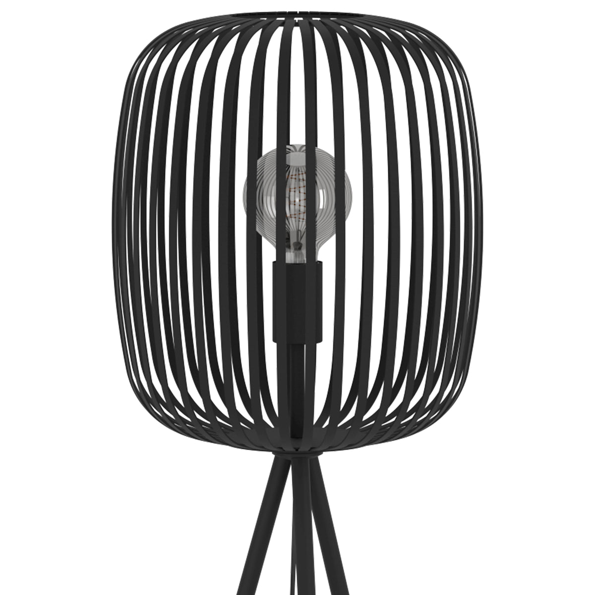 Romazzina Black Floor Lamp