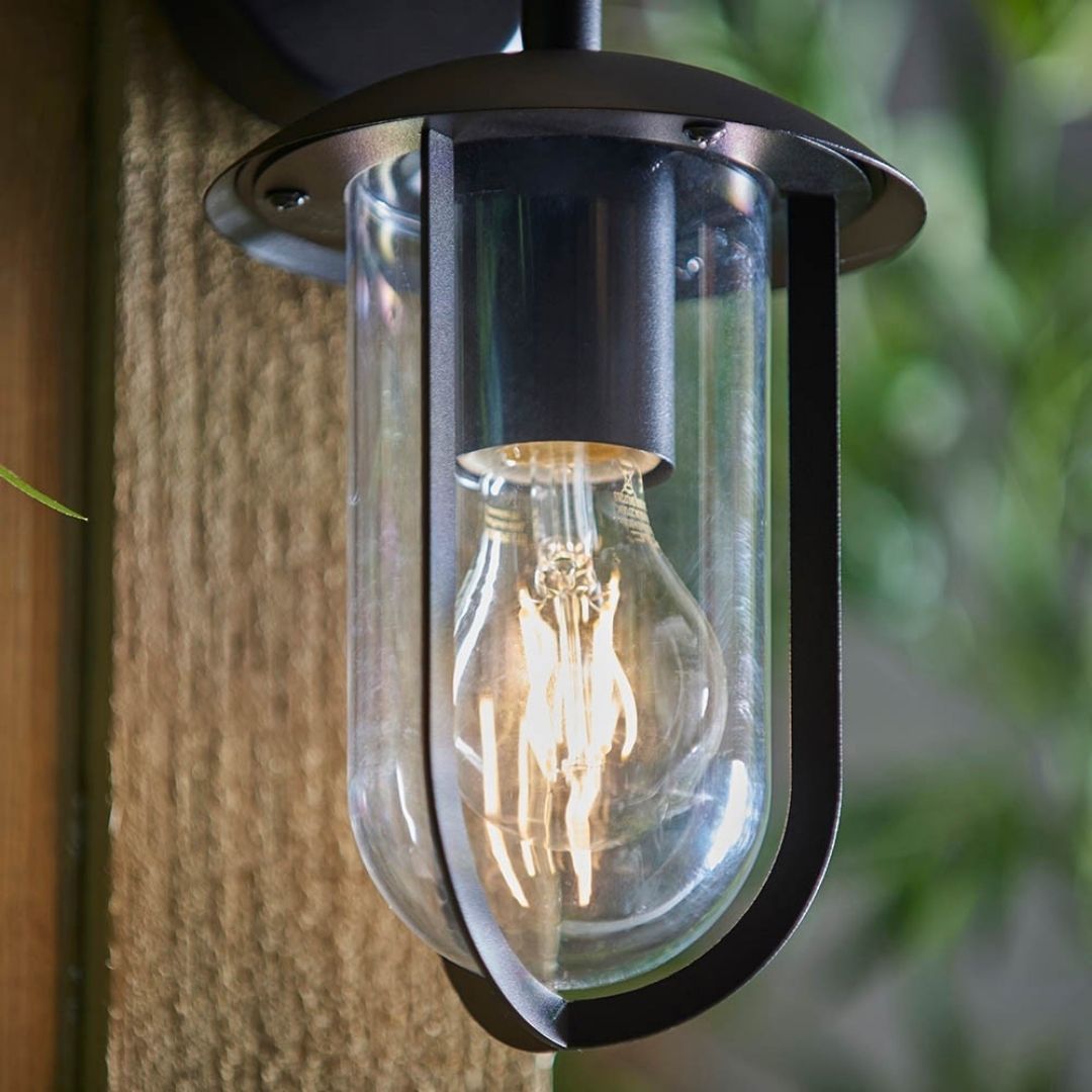 Quinn Matte Black & Clear Outdoor Wall Light