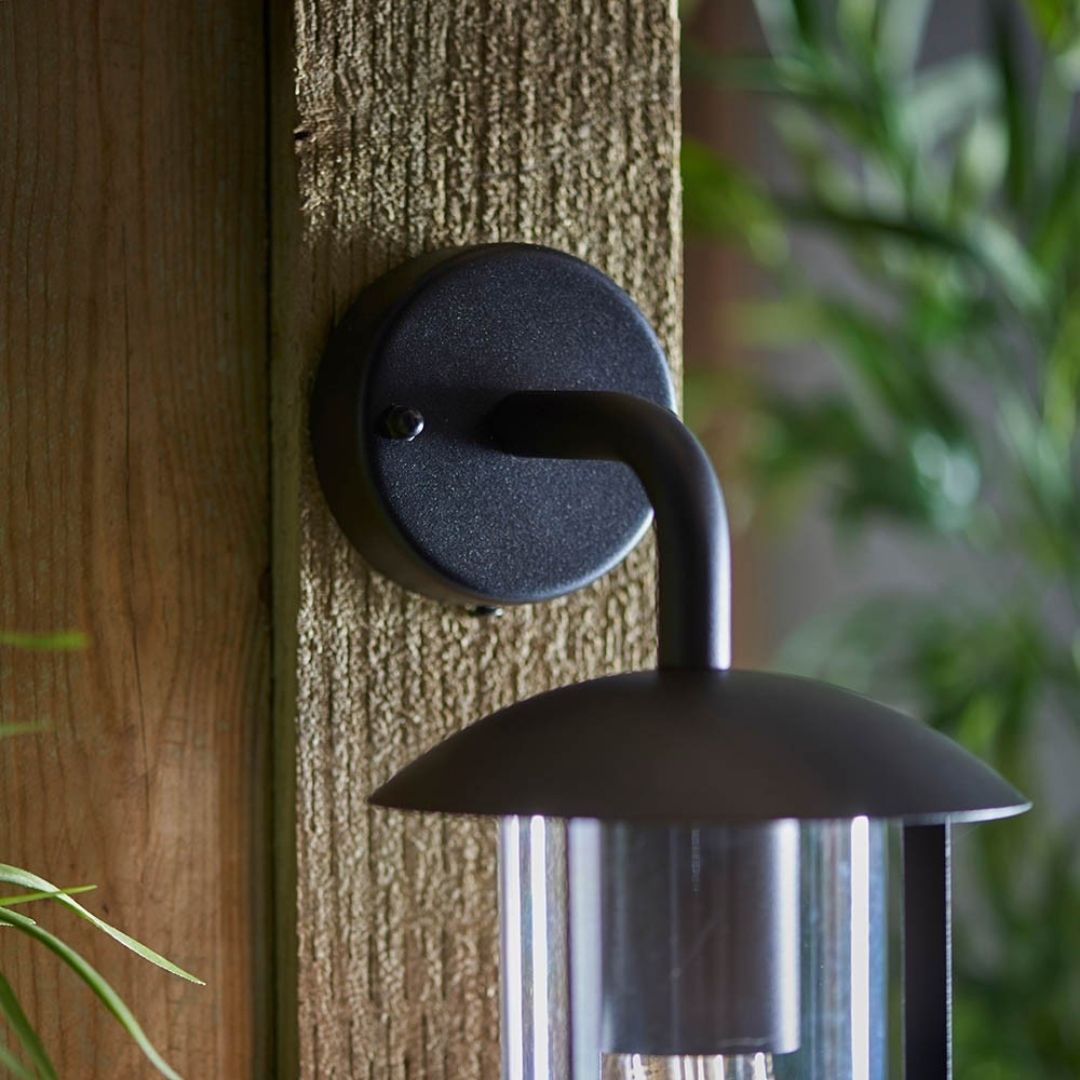 Quinn Matte Black & Clear Outdoor Wall Light