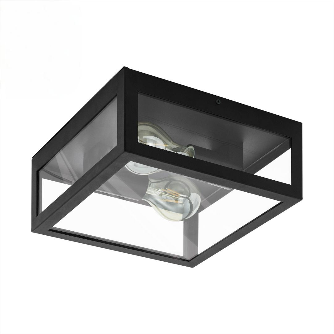 Amezola 2 light Flush Ceiling Light