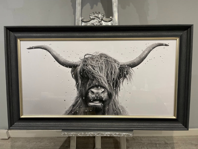 Highland Cow 100x50 Framed Wall Art