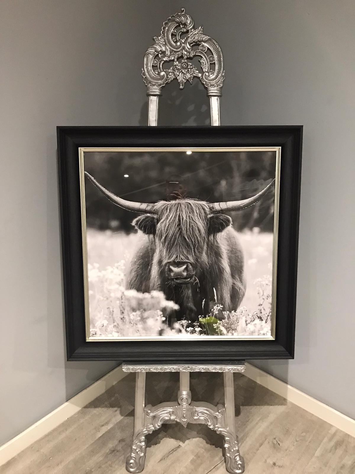 Highland Cow Canvas