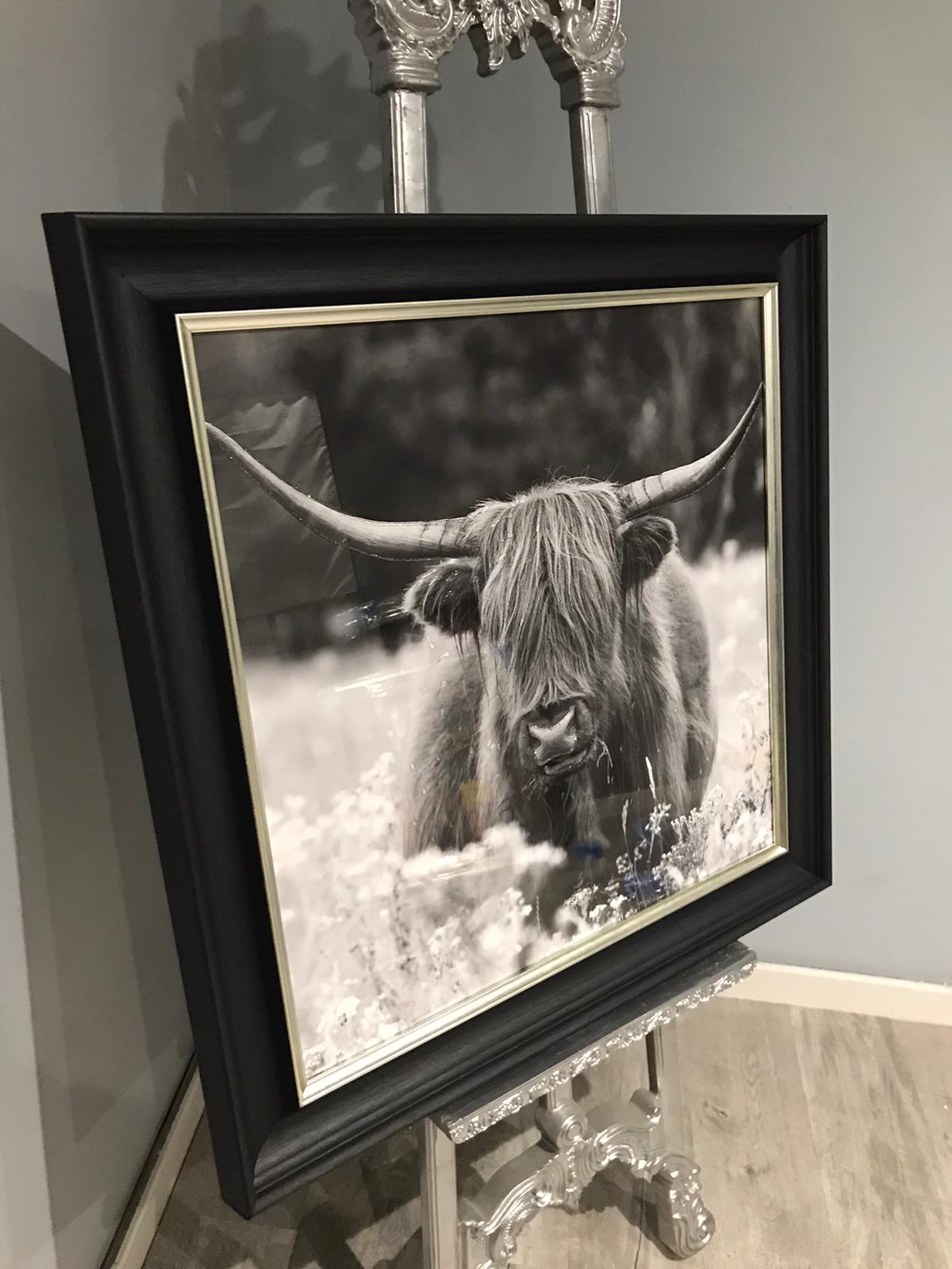 Highland Cow Canvas