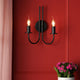 Becca 2 Light Matte Black Wall Light