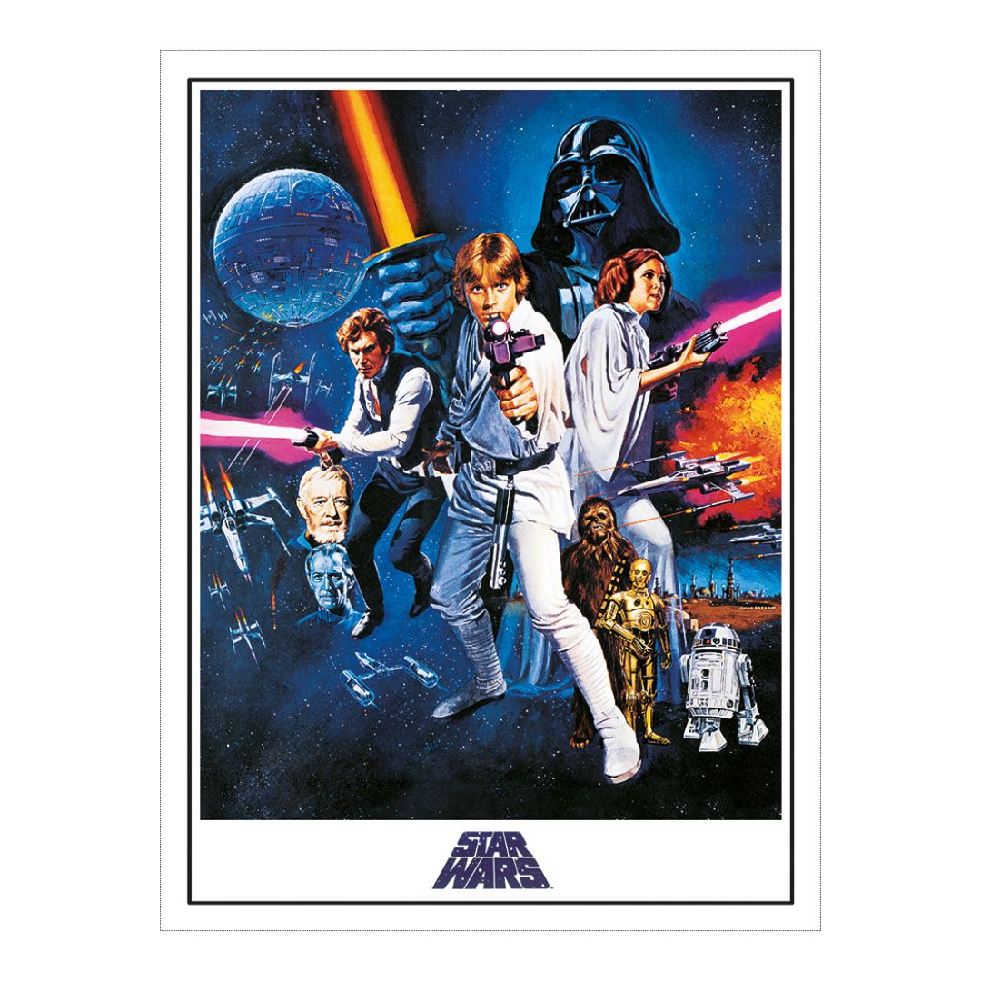 Star Wars A New Hope Canvas