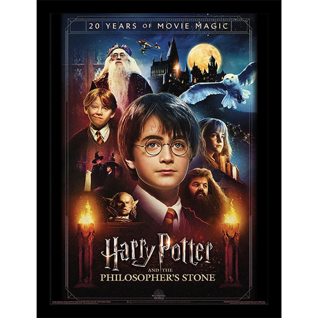 Harry Potter and the Philosopher's Stone Framed Wall Art 30x40