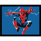 Spider-Man Collector Framed Wall Art 30x40