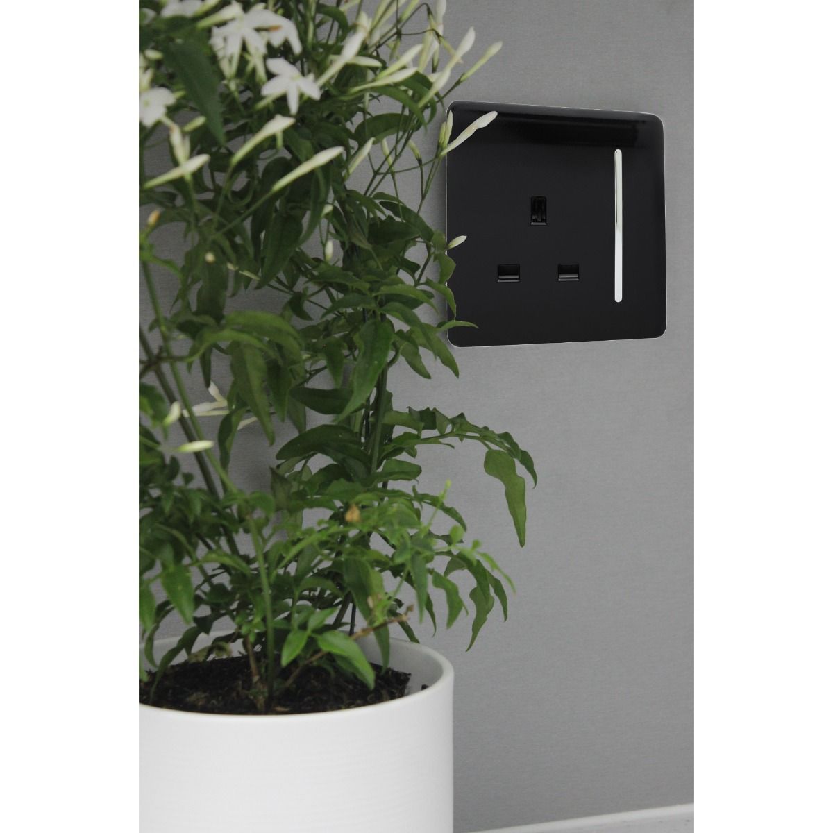 Trendi Switch 1 Gang 13 amp Plug Light Switch in Screwless Piano Black