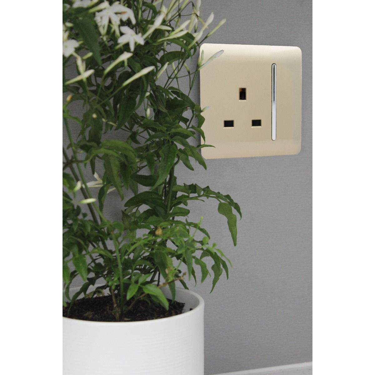 Trendi Switch 1 Gang 13 amp Plug Light Switch Screwless Champagne Gold