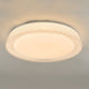 Udell Acrylic LED Flush Ceiling Light Large