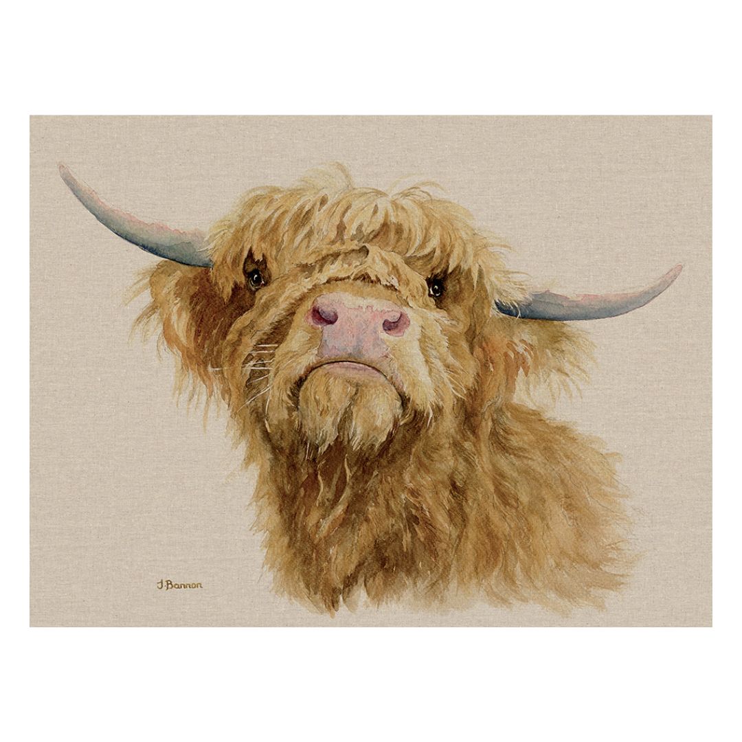 Donald the Highland Cow Canvas