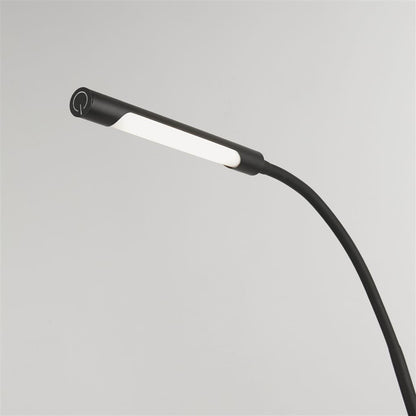 Plume Black Rechargeable LED Floor Lamp