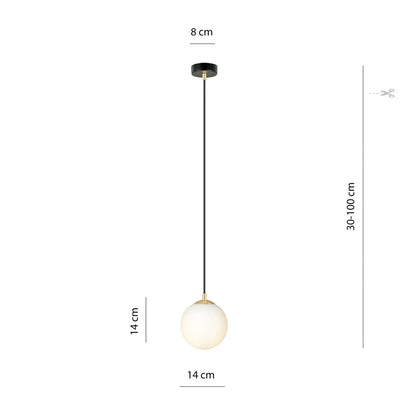 Royal 1 Light Pendant Black & Gold