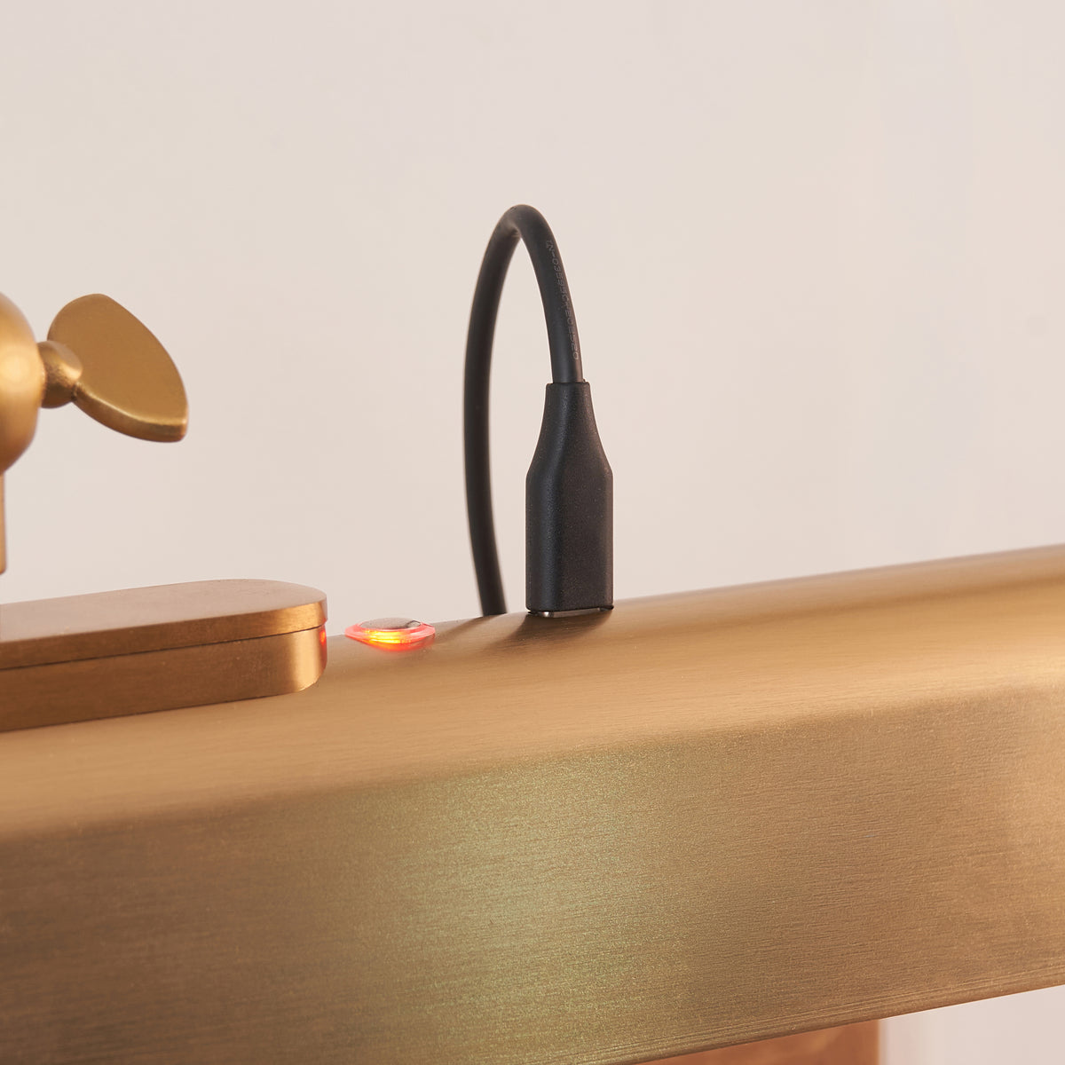 Dalyan Warm Brass Rechargeable Picture Light