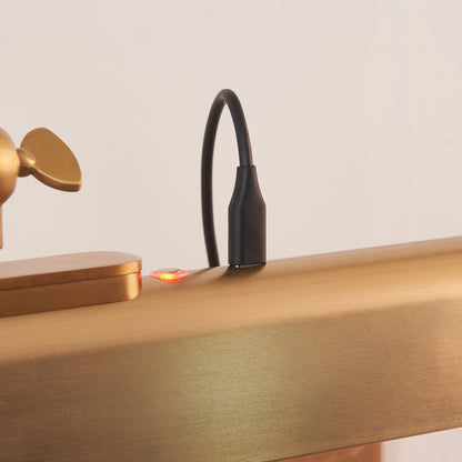 Lasos Warm Brass Rechargeable Picture Light