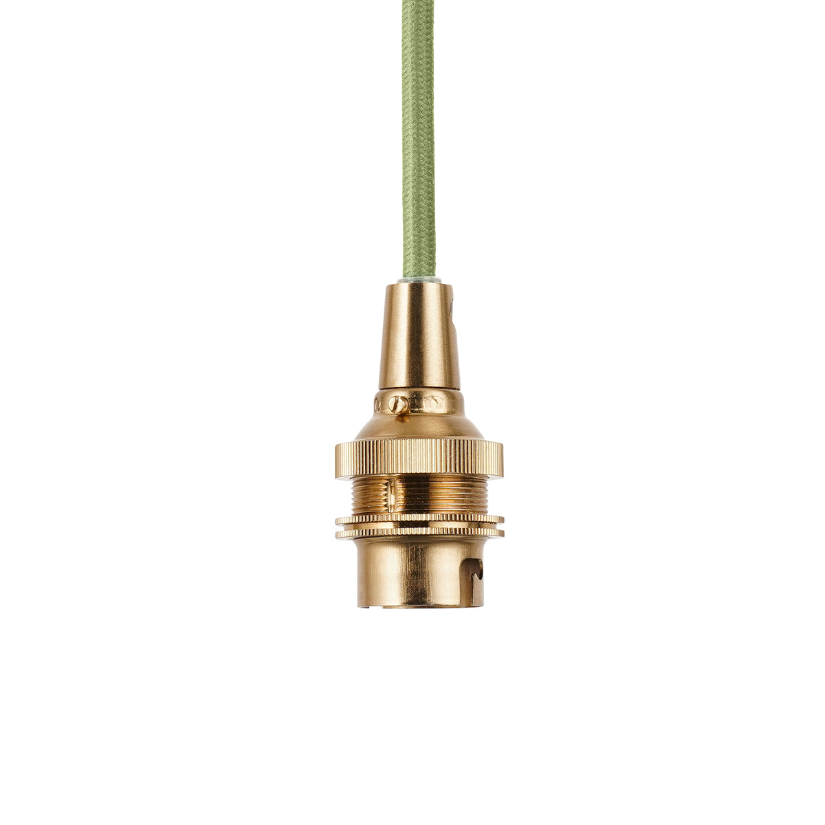 Eltham Aged Brass Pendant with Green Leaf Shade