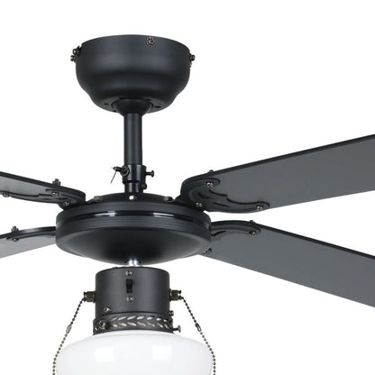 Fortaleza Matte Black Ceiling Fan Light