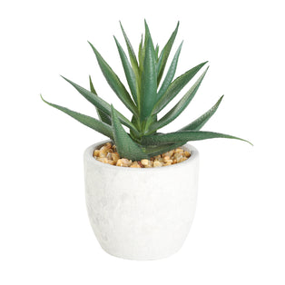 Artificial Aloe Vera in White Pot