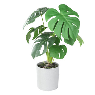 Artificial Monstera Swiss Cheese Plant