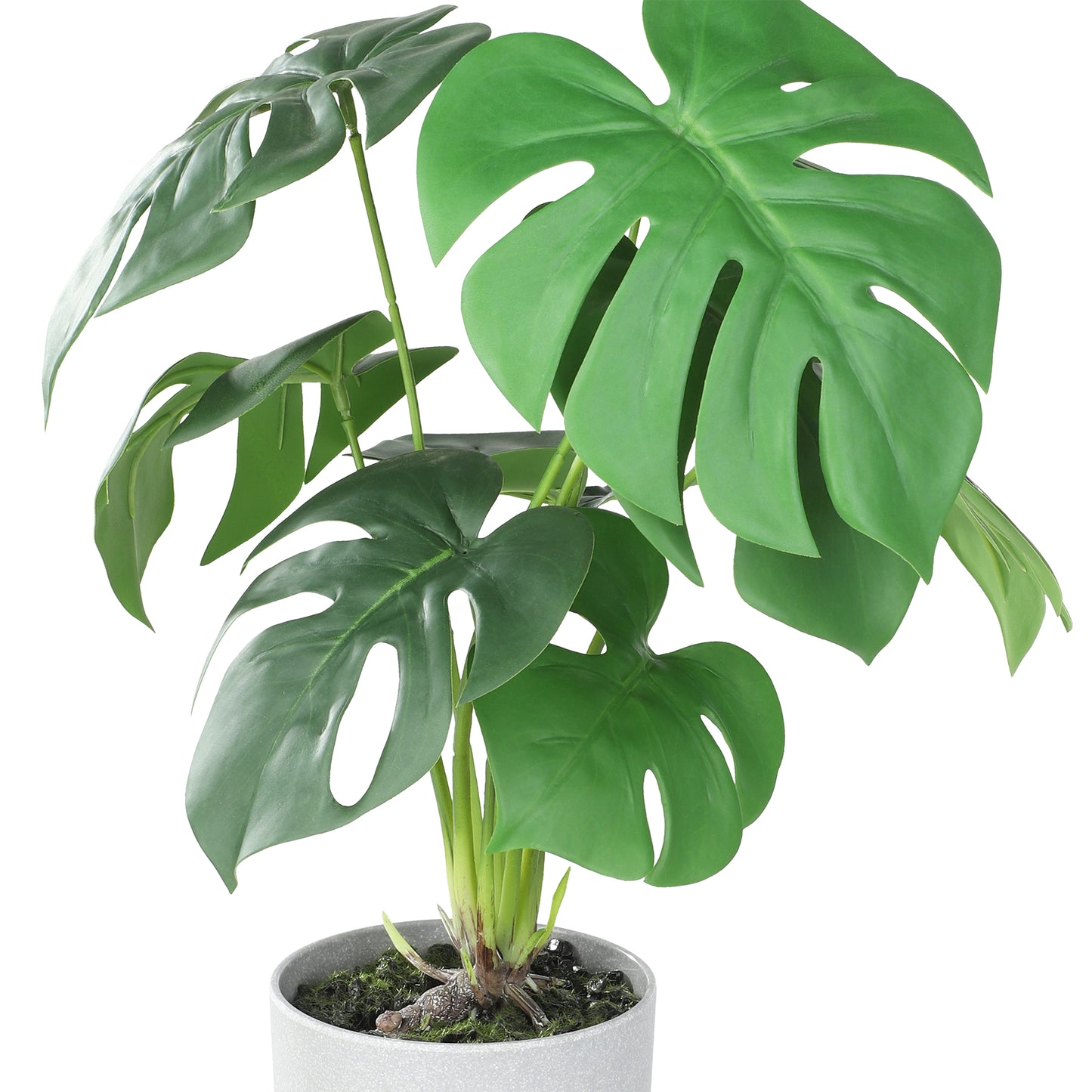Artificial Monstera Swiss Cheese Plant