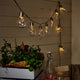 Solar LED Bulb String 10PK