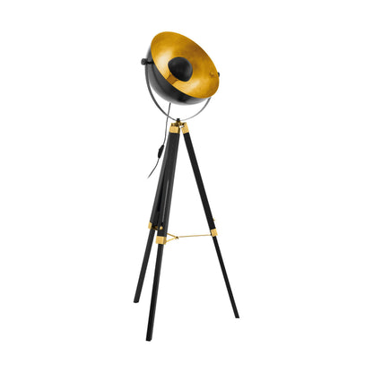 Covaleda Black Floor Lamp