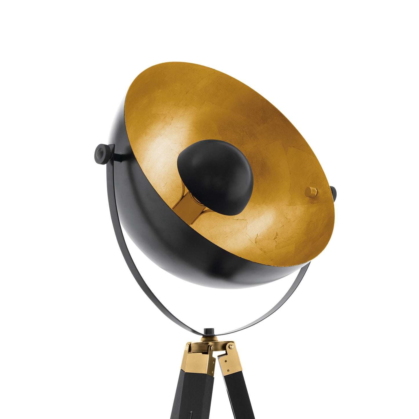 Covaleda Black Floor Lamp