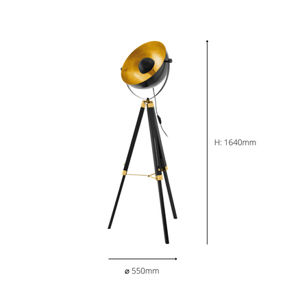 Covaleda Black Floor Lamp