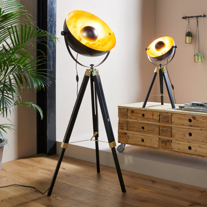 Covaleda Black Floor Lamp
